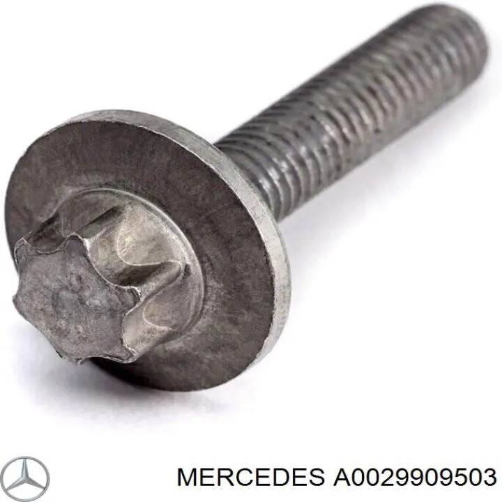 A0029909503 Mercedes