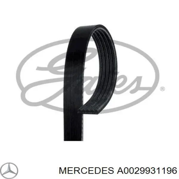 A0029931196 Mercedes correa trapezoidal