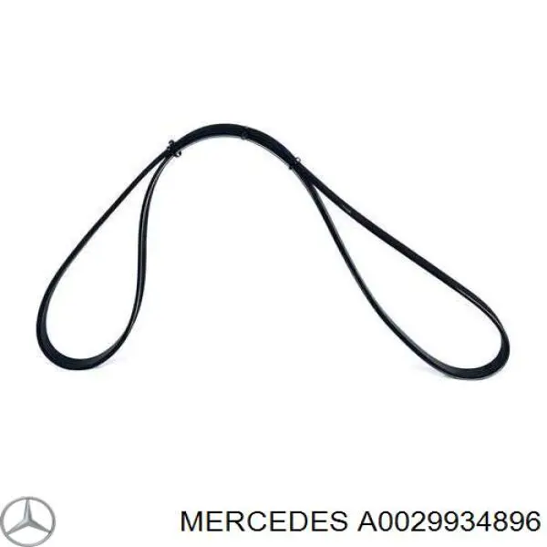 Comprar A0029934896 Mercedes Correa trapezoidal