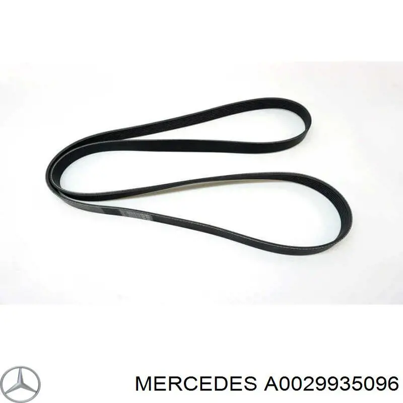 Comprar A0029935096 Mercedes Correa trapezoidal