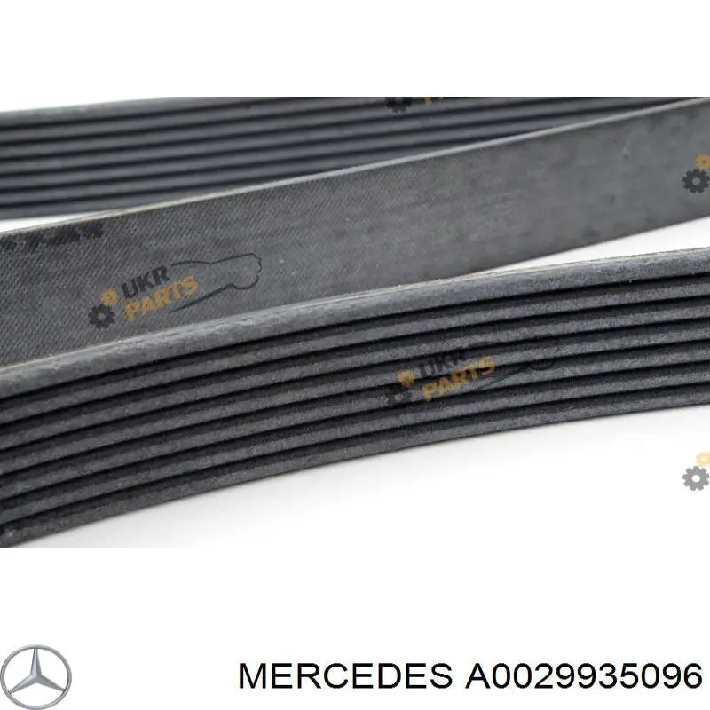 Correa de transmisión trapezoidal Mercedes A0029935096 precio, desde 22,60 EUR