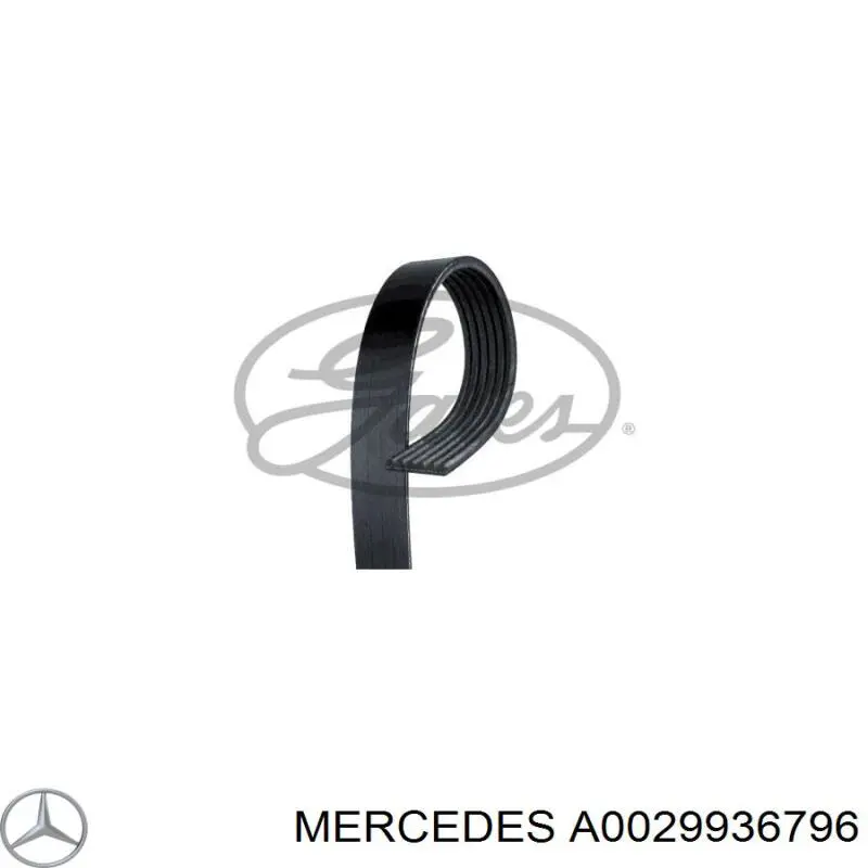 A0029936796 Mercedes correa trapezoidal