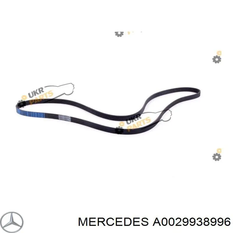 Correa de transmisión trapezoidal Mercedes A0029938996 precio, desde 17,97 EUR