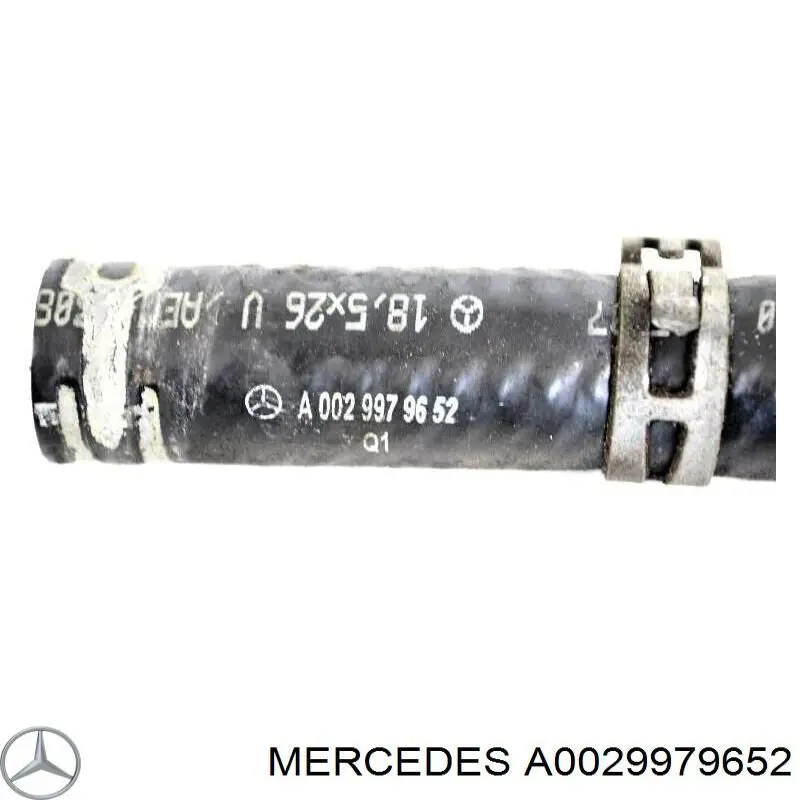 0029979652 Mercedes