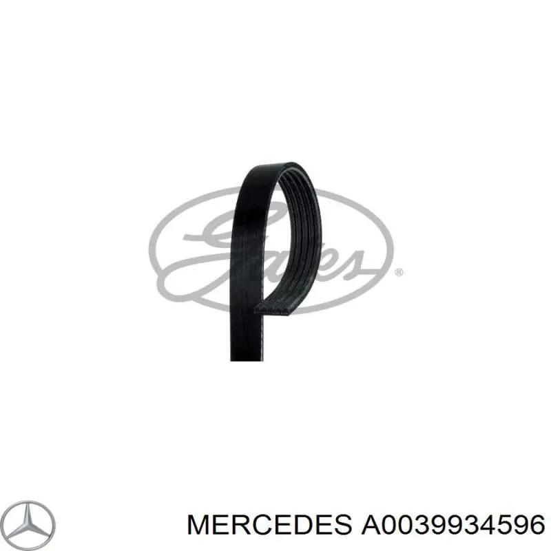 A0039934596 Mercedes correa trapezoidal