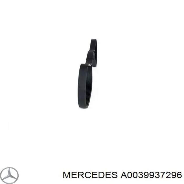 Correa trapezoidal Mercedes E W211