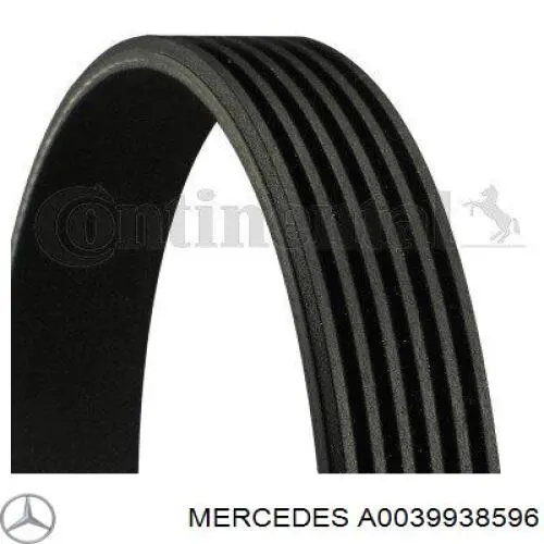 A0039938596 Mercedes Correa poly v