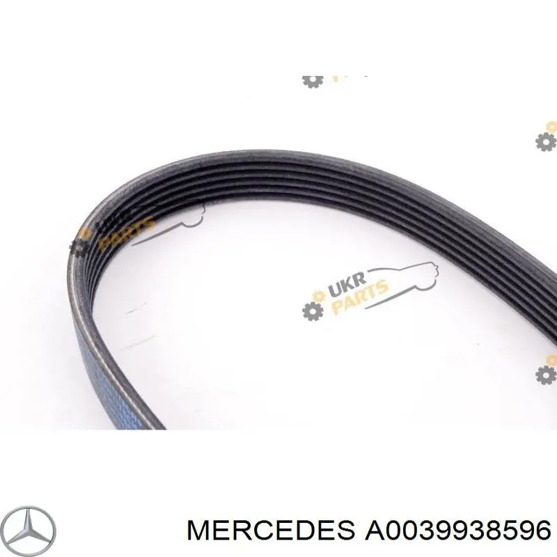 Correa de transmisión trapezoidal Mercedes A0039938596 precio, desde 20,63 EUR