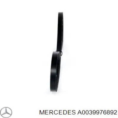 A0039976892 Mercedes correa trapezoidal