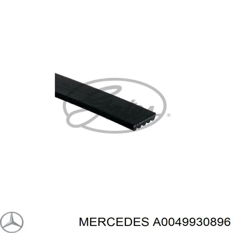 0049930896 Mercedes correa trapezoidal