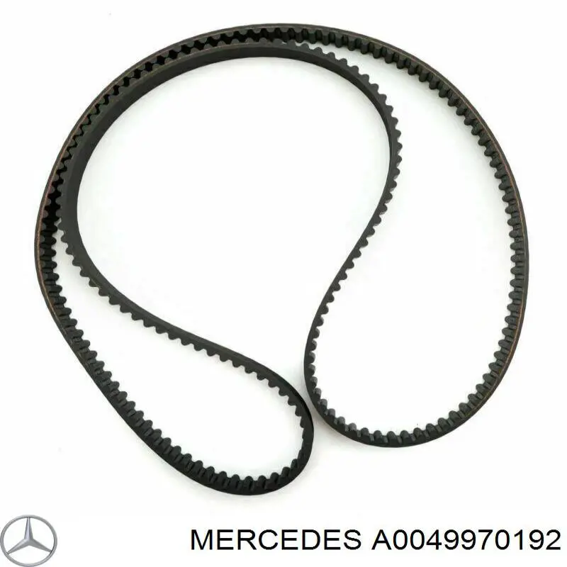 Correa accesorios INA FB13X1300