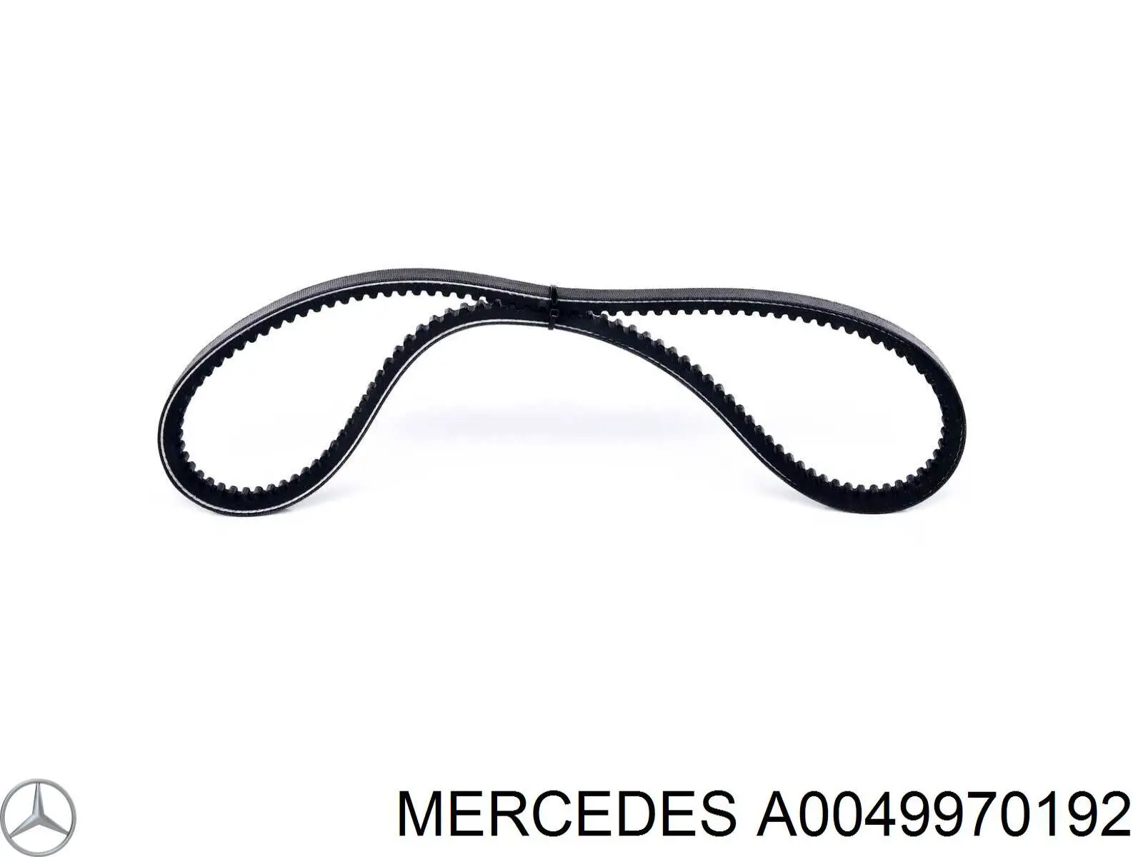 Correa de alternador FB13X1300 INA