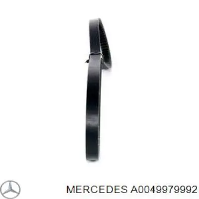 Correa de transmisión trapezoidal Mercedes A0049979992 precio, desde 8,98 EUR