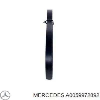 0019972092 Mercedes correa trapezoidal