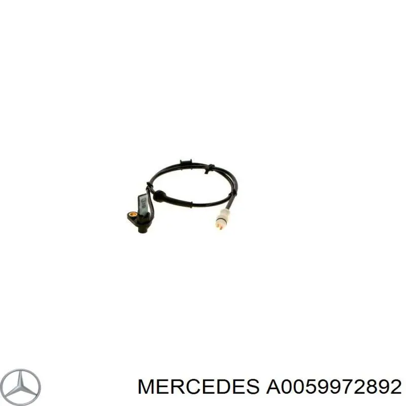 13A1575C Dayco Correa poly v