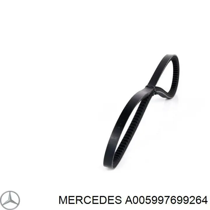 A005997699264 Mercedes correa trapezoidal