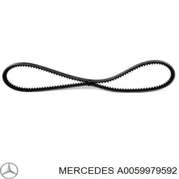 A0059979592 Mercedes correa trapezoidal