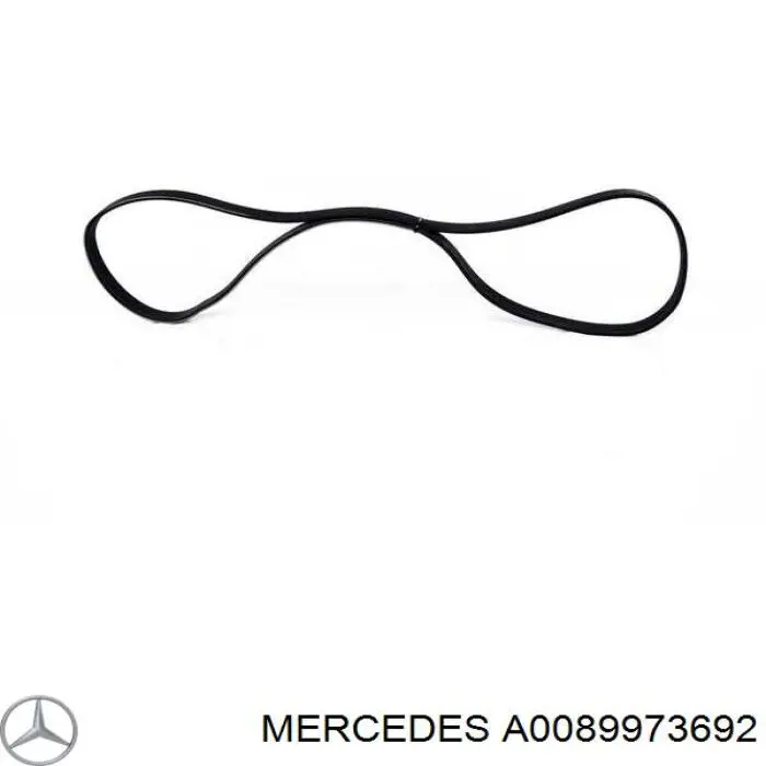 Correa de transmisión trapezoidal Mercedes A0089973692 precio, desde 24,65 EUR