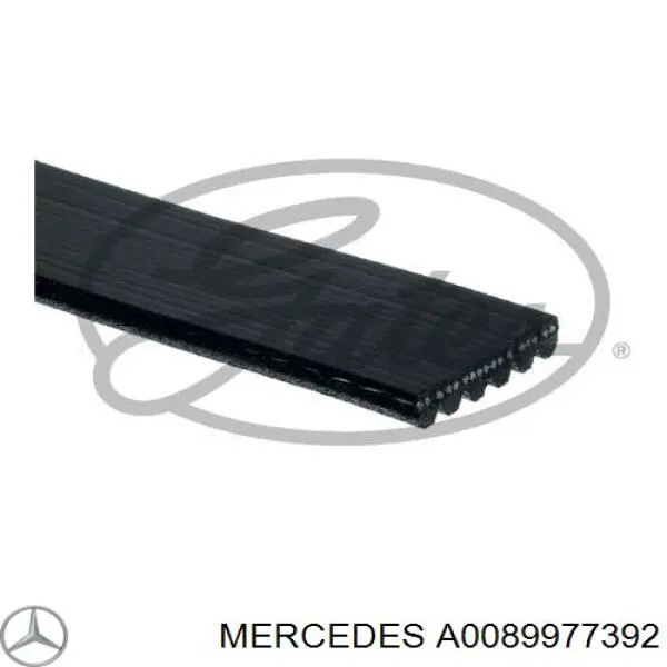 A0089977392 Mercedes correa trapezoidal