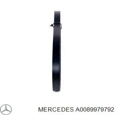 A0089979792 Mercedes correa trapezoidal