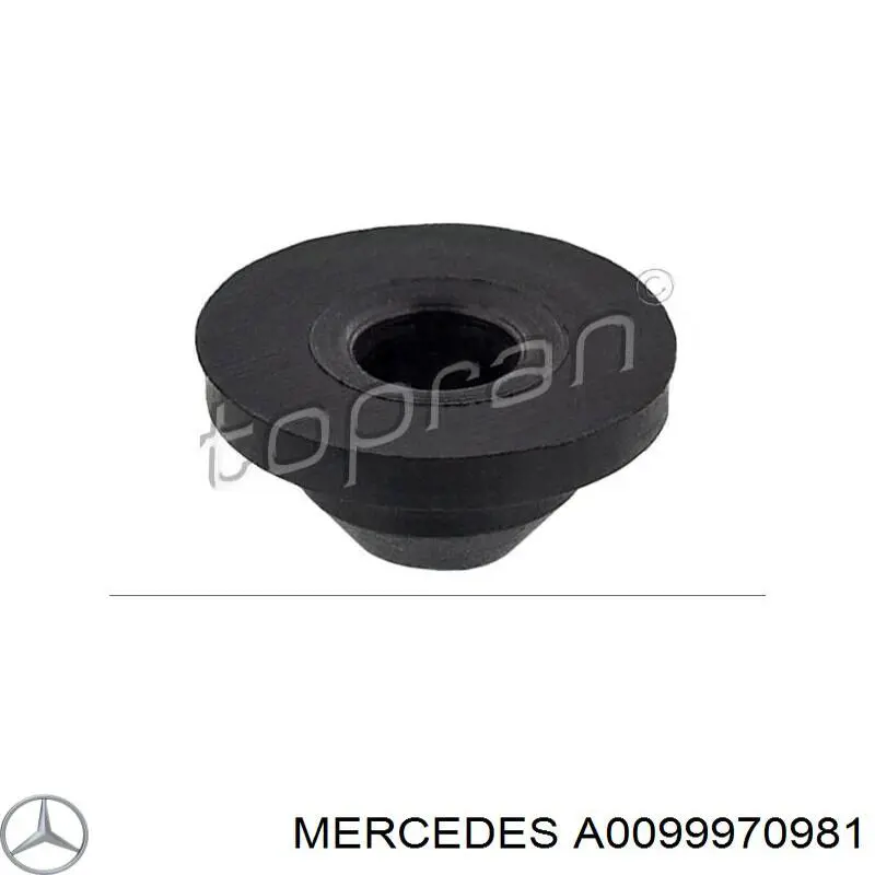 Comprar YQ00114680 General Motors Anillo de sellado de la bomba de lavaparabrisas