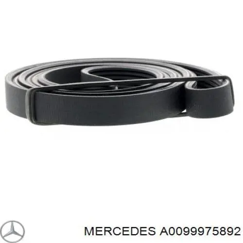 Comprar 059903137P VAG Correa trapezoidal