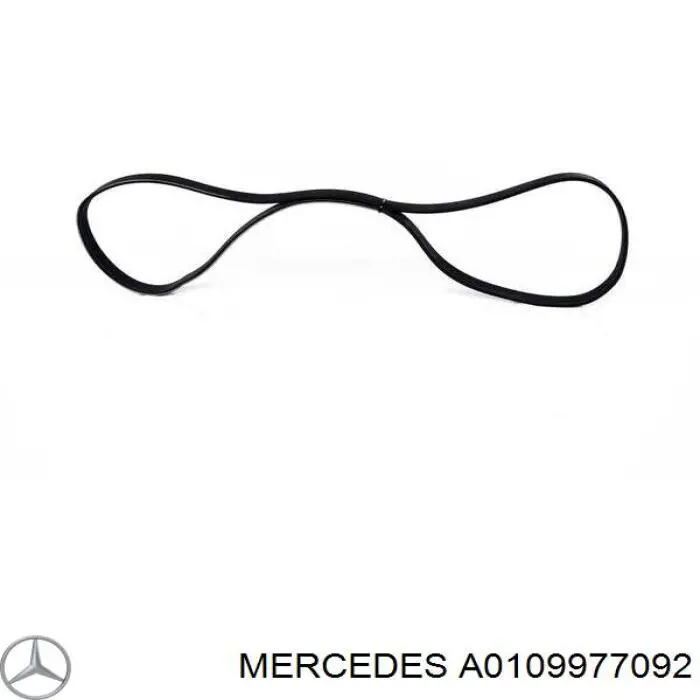 A0109977092 Mercedes correa trapezoidal