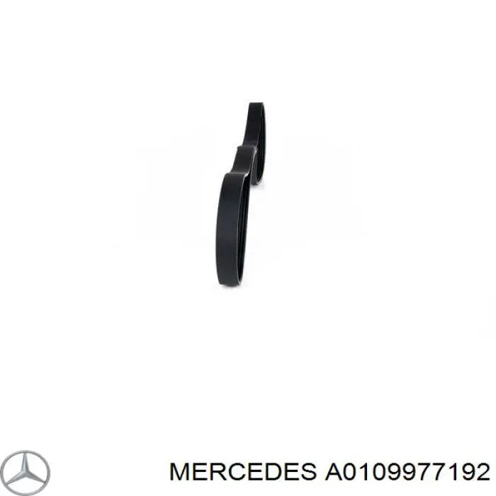 A0109977192 Mercedes correa trapezoidal