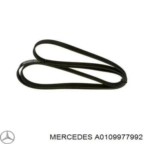 A0109977992 Mercedes correa trapezoidal