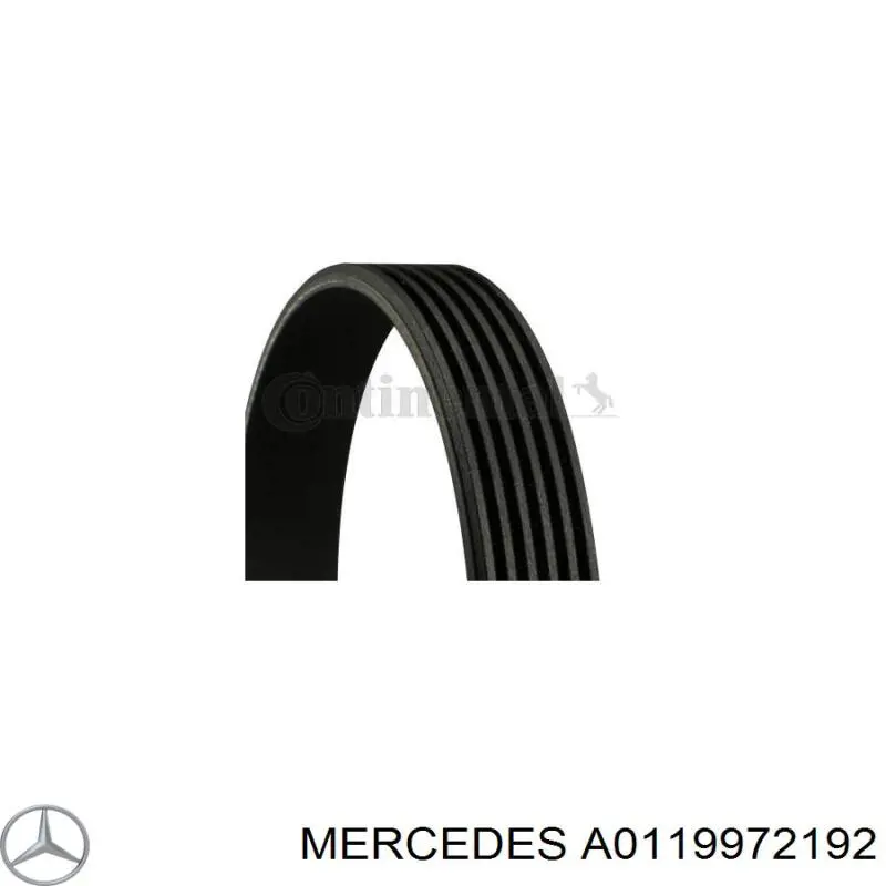 Comprar A0119972192 Mercedes Correa trapezoidal