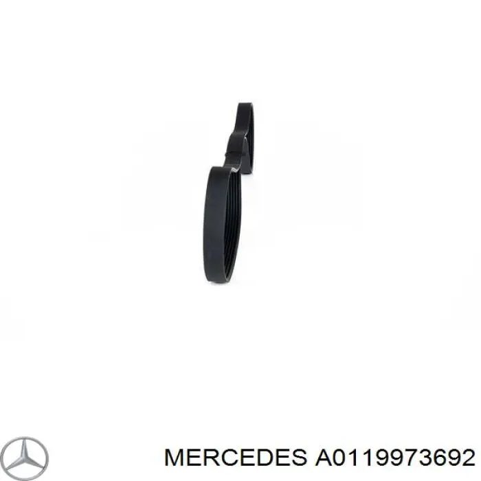 0119973692 Mercedes Correa poly v