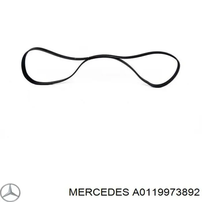 A0119973892 Mercedes correa trapezoidal