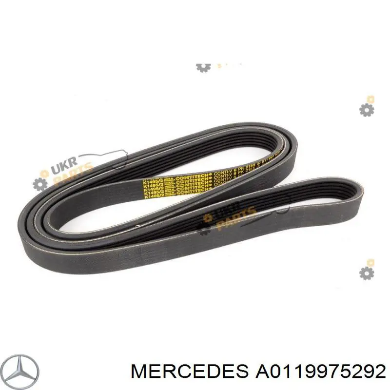 A0119975292 Mercedes correa trapezoidal