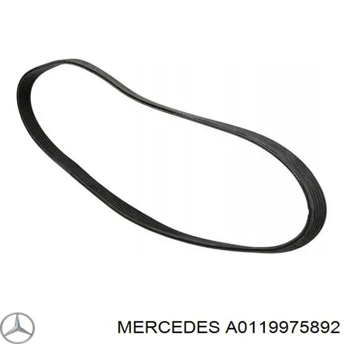 A0119975892 Mercedes correa trapezoidal