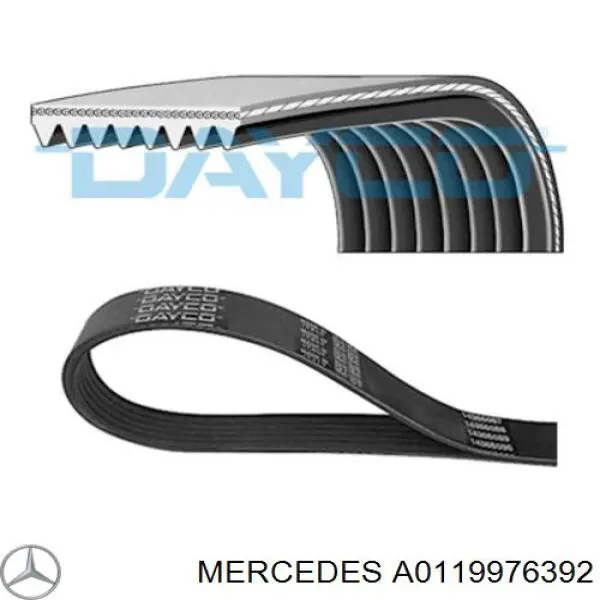 A0119976392 Mercedes correa trapezoidal