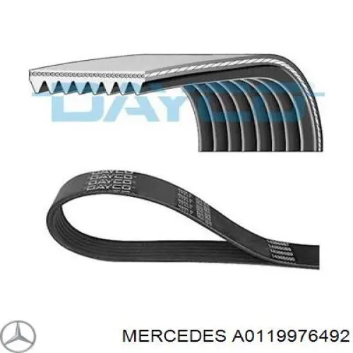 A0119976492 Mercedes correa trapezoidal
