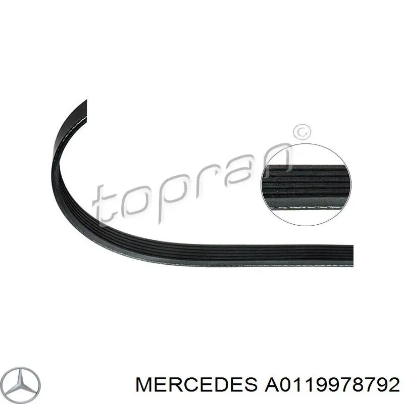 A0119978792 Mercedes correa trapezoidal