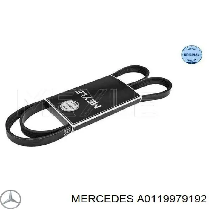 A0119979192 Mercedes correa trapezoidal