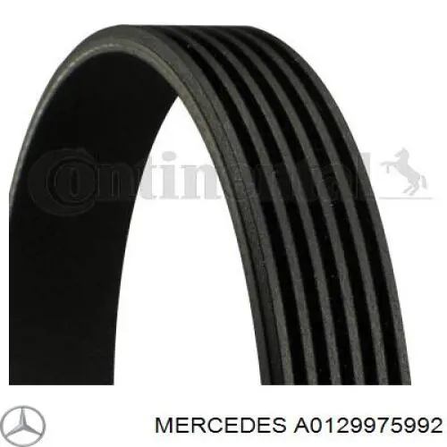 Comprar A0129975992 Mercedes Correa trapezoidal