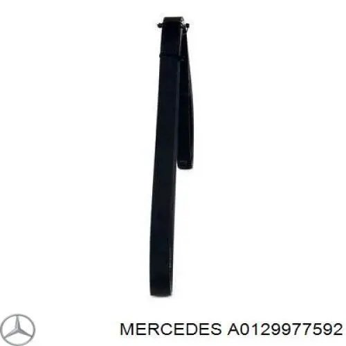 A0129977592 Mercedes correa trapezoidal