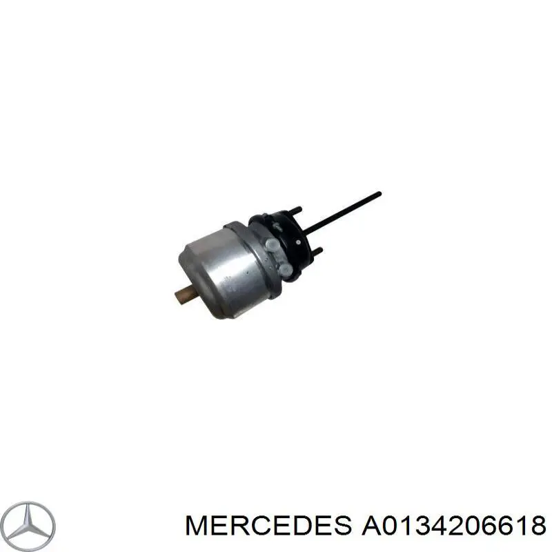 Cámara de freno con acumulador de energía RD9325013 Rider
