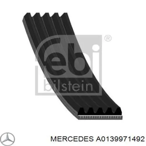 A0139971492 Mercedes correa trapezoidal