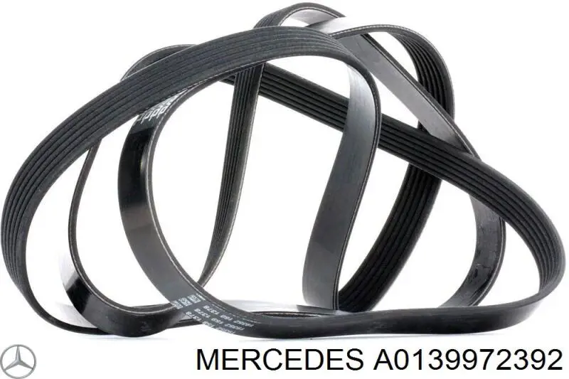 A0139972392 Mercedes correa trapezoidal