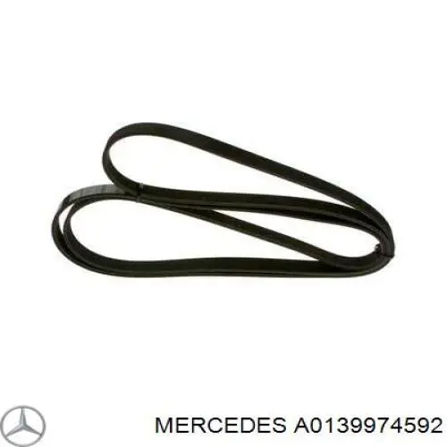 A0139974592 Mercedes correa trapezoidal
