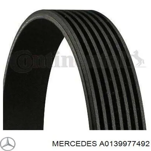 A0139977492 Mercedes correa trapezoidal