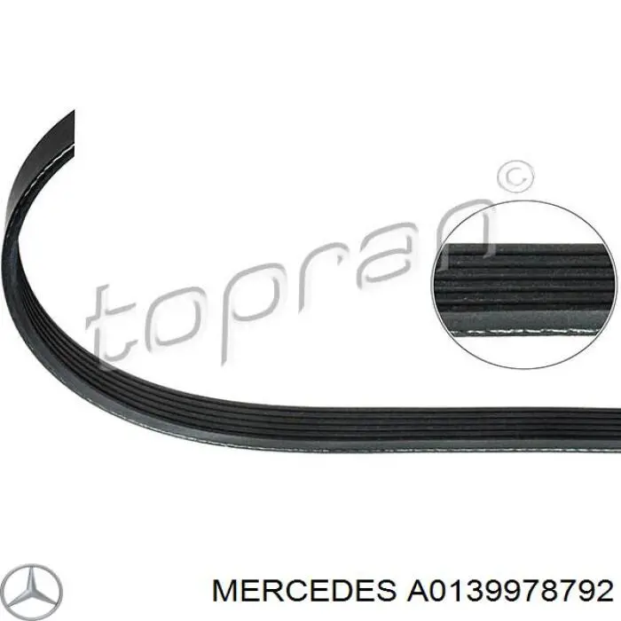 A0139978792 Mercedes correa trapezoidal