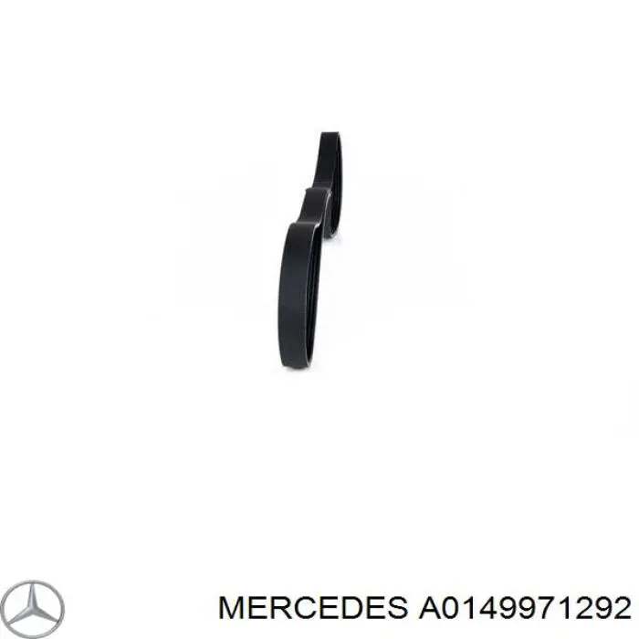 A0149971292 Mercedes correa trapezoidal