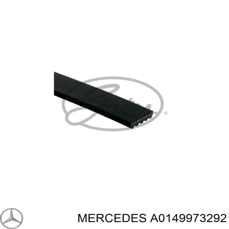 A0149973292 Mercedes correa trapezoidal