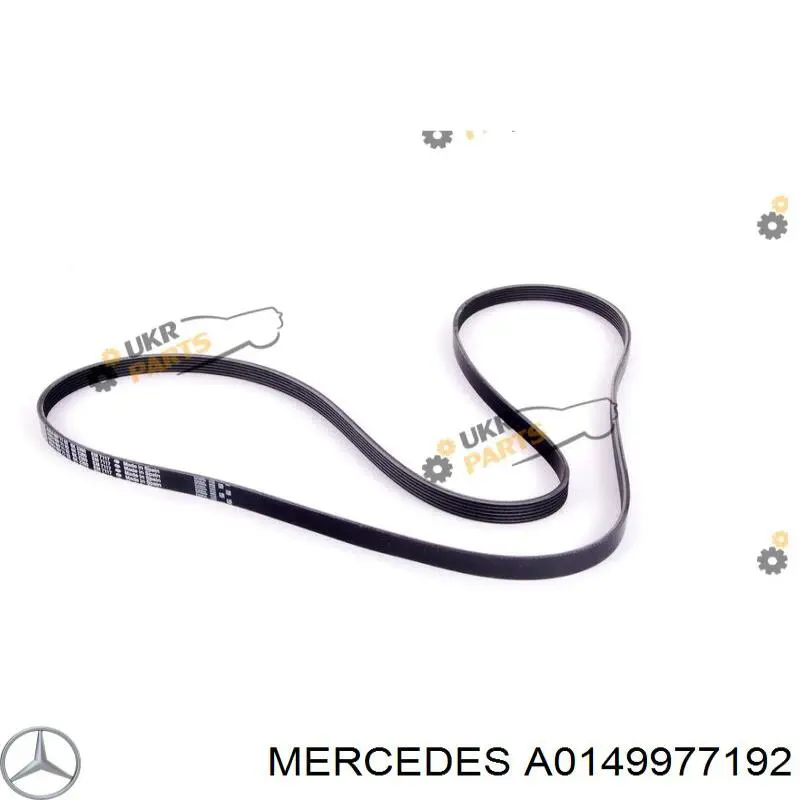 A0149977192 Mercedes correa trapezoidal