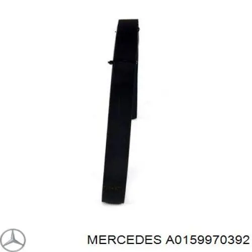 A0159970392 Mercedes correa trapezoidal